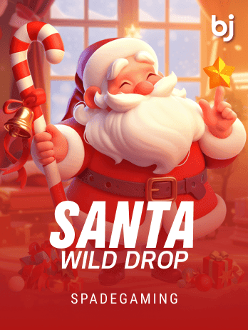 Santa Wild Dropping game icon